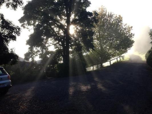 Hvad er de bedste hoteller i nærheden af Queen Mary Falls? Killarney Værelse billede